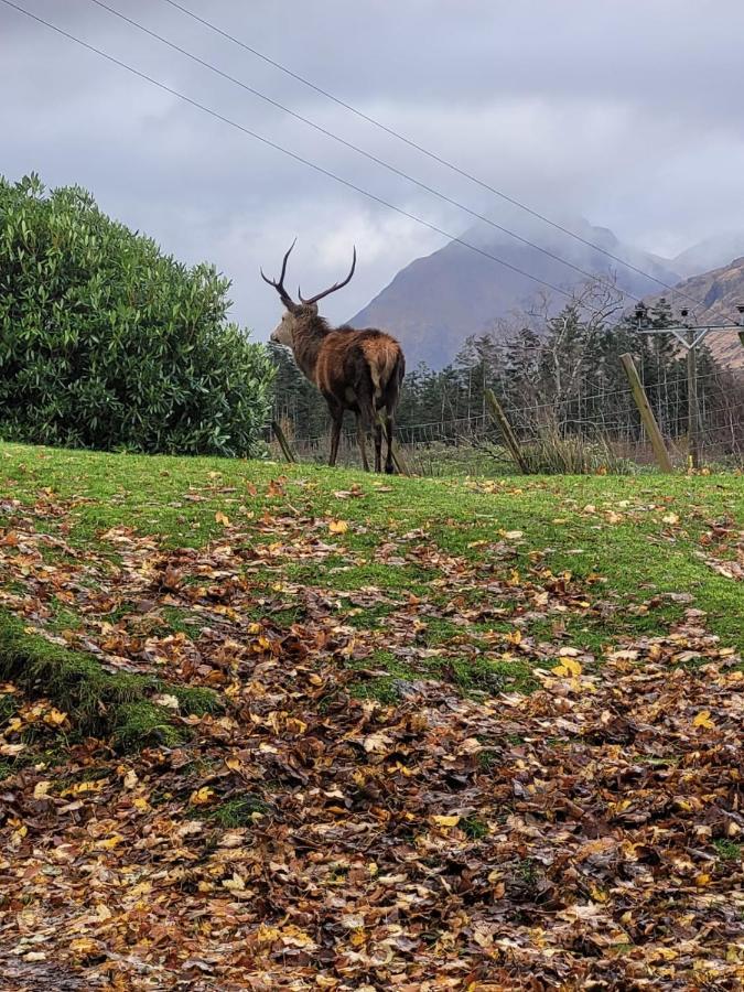 Ormasaig, Self Catering, One Mile To Town & Close To Ben Nevis Villa Fort William Dış mekan fotoğraf
