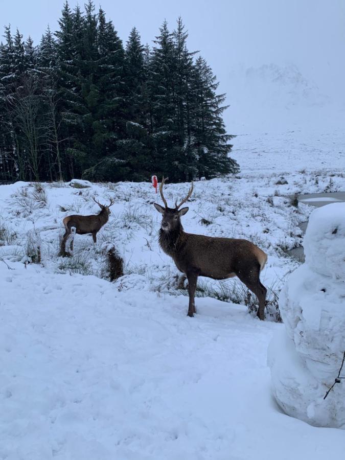 Ormasaig, Self Catering, One Mile To Town & Close To Ben Nevis Villa Fort William Dış mekan fotoğraf